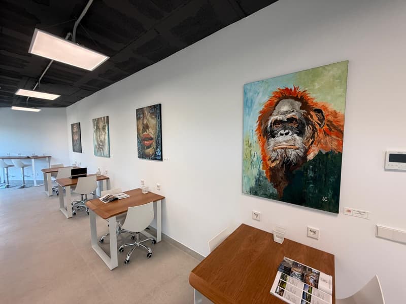 Co working the deck benahavis (4)